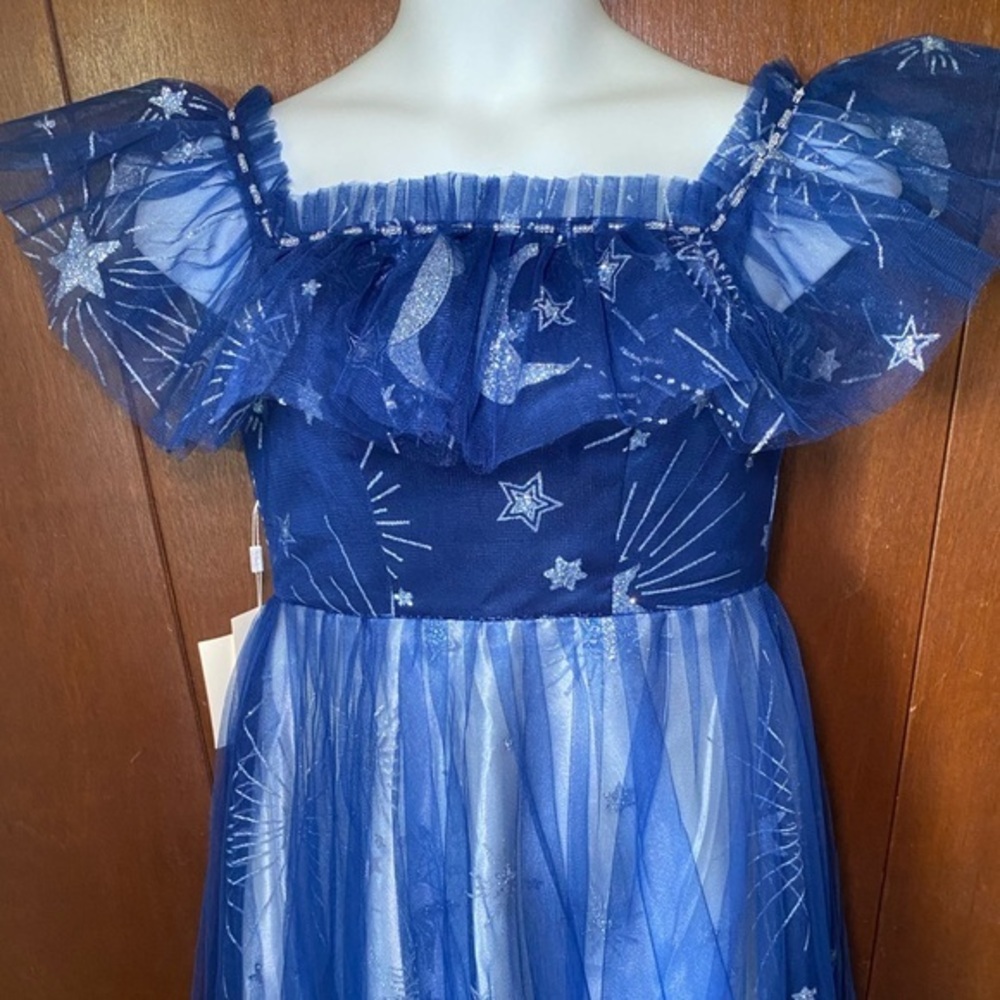 LIMITED‎ Edition Celestial LanTing Couture Navy Blue Tulle Ball Gown Dress